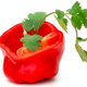 Illustration for article titled Besides Cilantro, What Foods Do You Find Absolutely Disgusting?